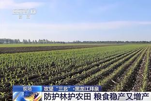 老鹰本赛季多次有4人同时砍下两双 鹈鹕后首队